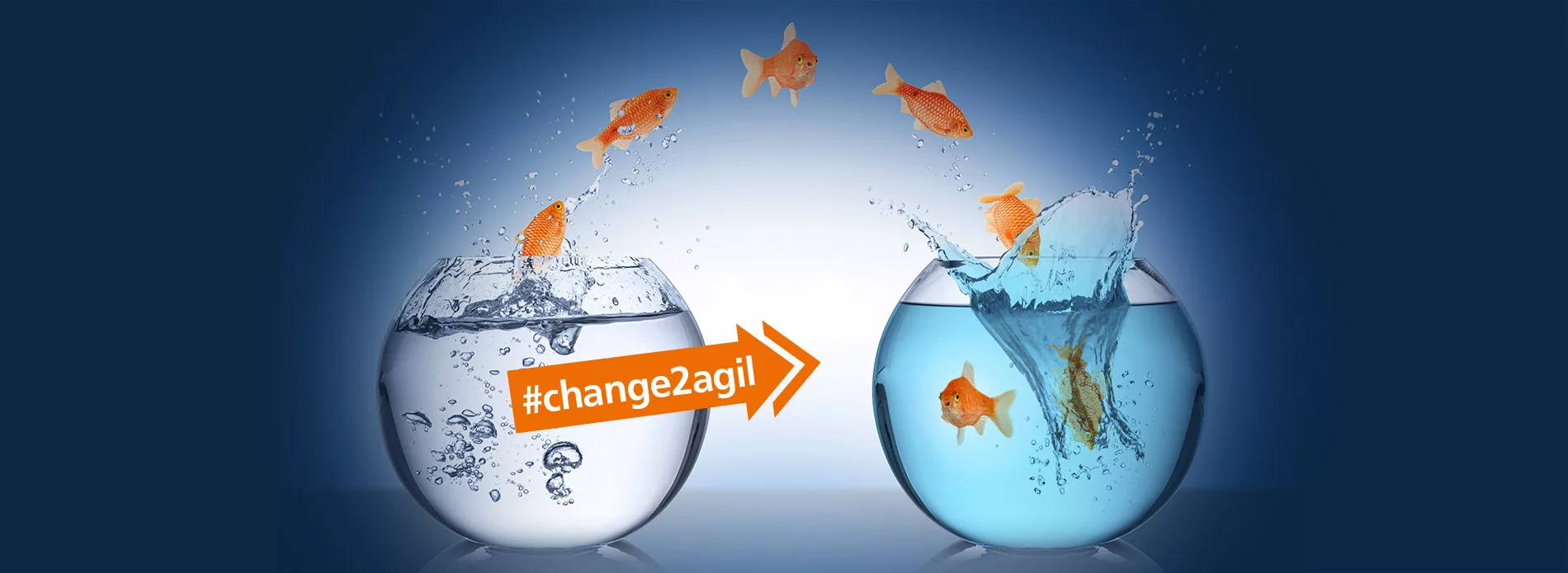 Blog 2 AGIL Softwarewechel #change2agil